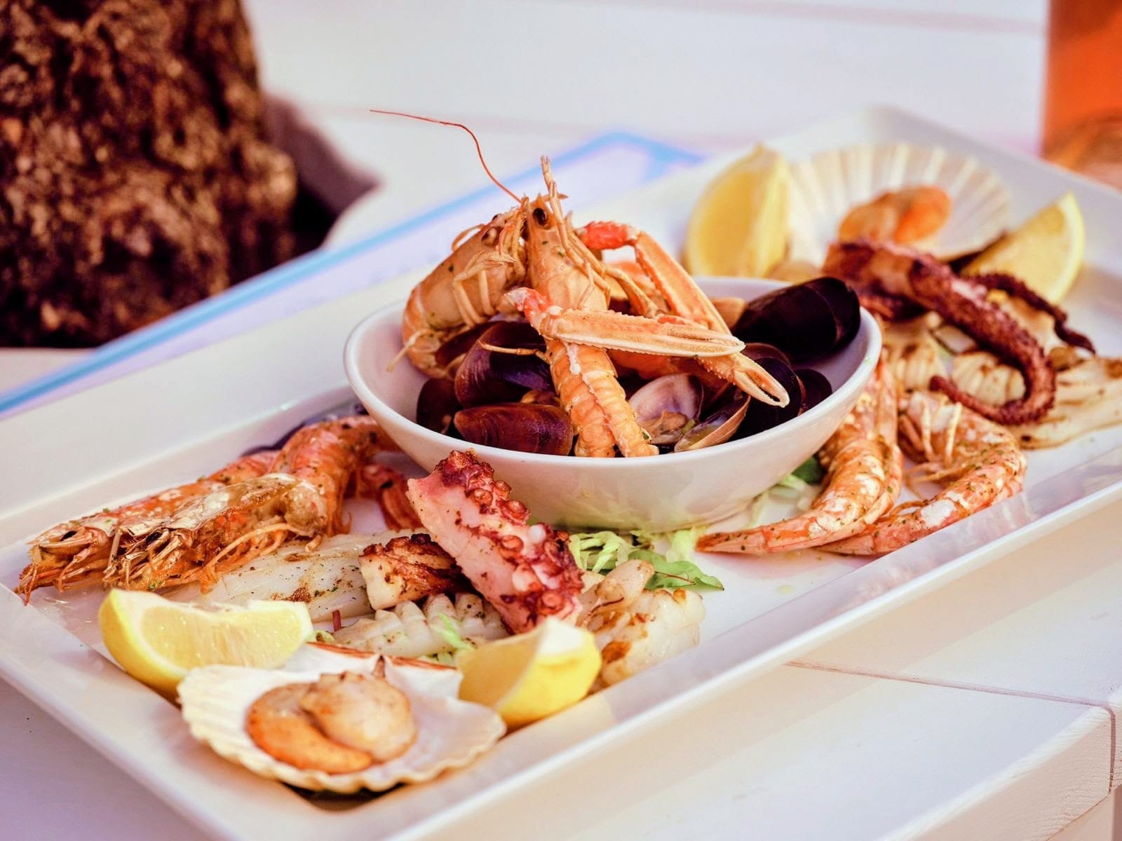 Fructele De Mare, Farmacia Din Adancuri