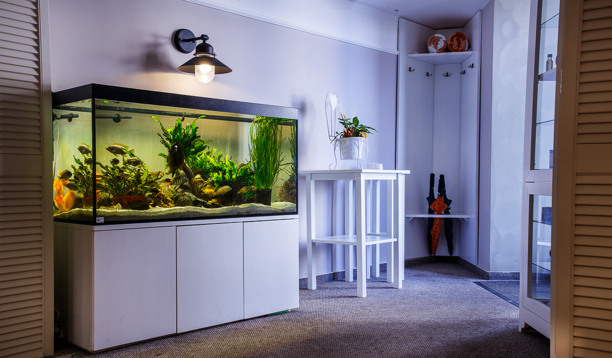 Gallery Image 9